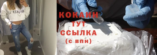 соль ск Надым