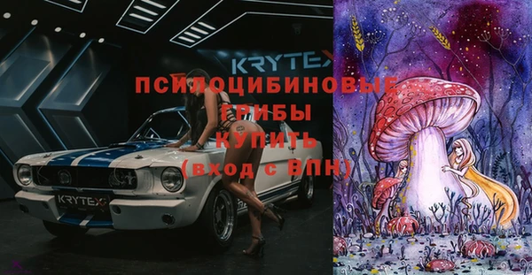 соль ск Надым