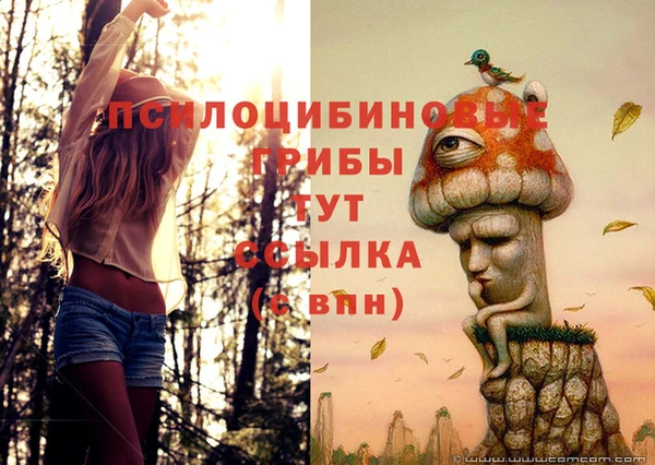 соль ск Надым