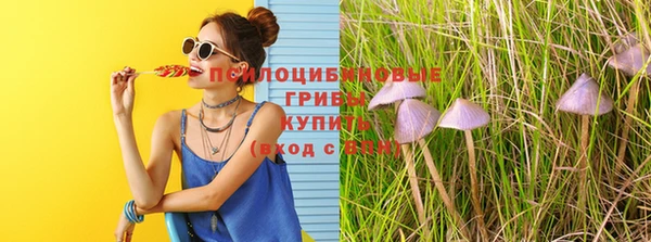 стаф Навашино