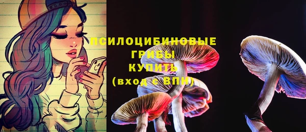 соль ск Надым