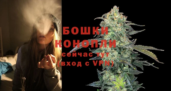 соль ск Надым