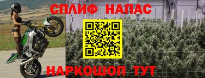 стафф Мариинск