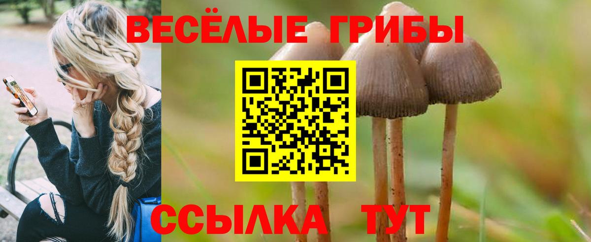 Арзамас  Галлюциногенные грибы Psilocybe  Галлюциногенные грибы прущие грибы  Вход с VPN 