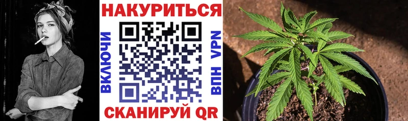 кракен как войти наркошоп Арзамас Шишки марихуана тримм